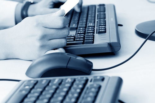 計(jì)算機(jī)專業(yè)在校大學(xué)生如何通過計(jì)算機(jī)系統(tǒng)服務(wù)提升競爭力