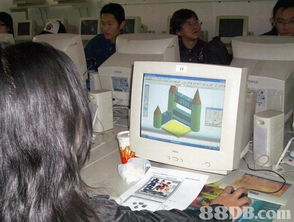 數(shù)字時(shí)代的教育創(chuàng)新 探索移動計(jì)算機(jī)互聯(lián)網(wǎng)與計(jì)算機(jī)系統(tǒng)服務(wù)在學(xué)校建設(shè)中的應(yīng)用